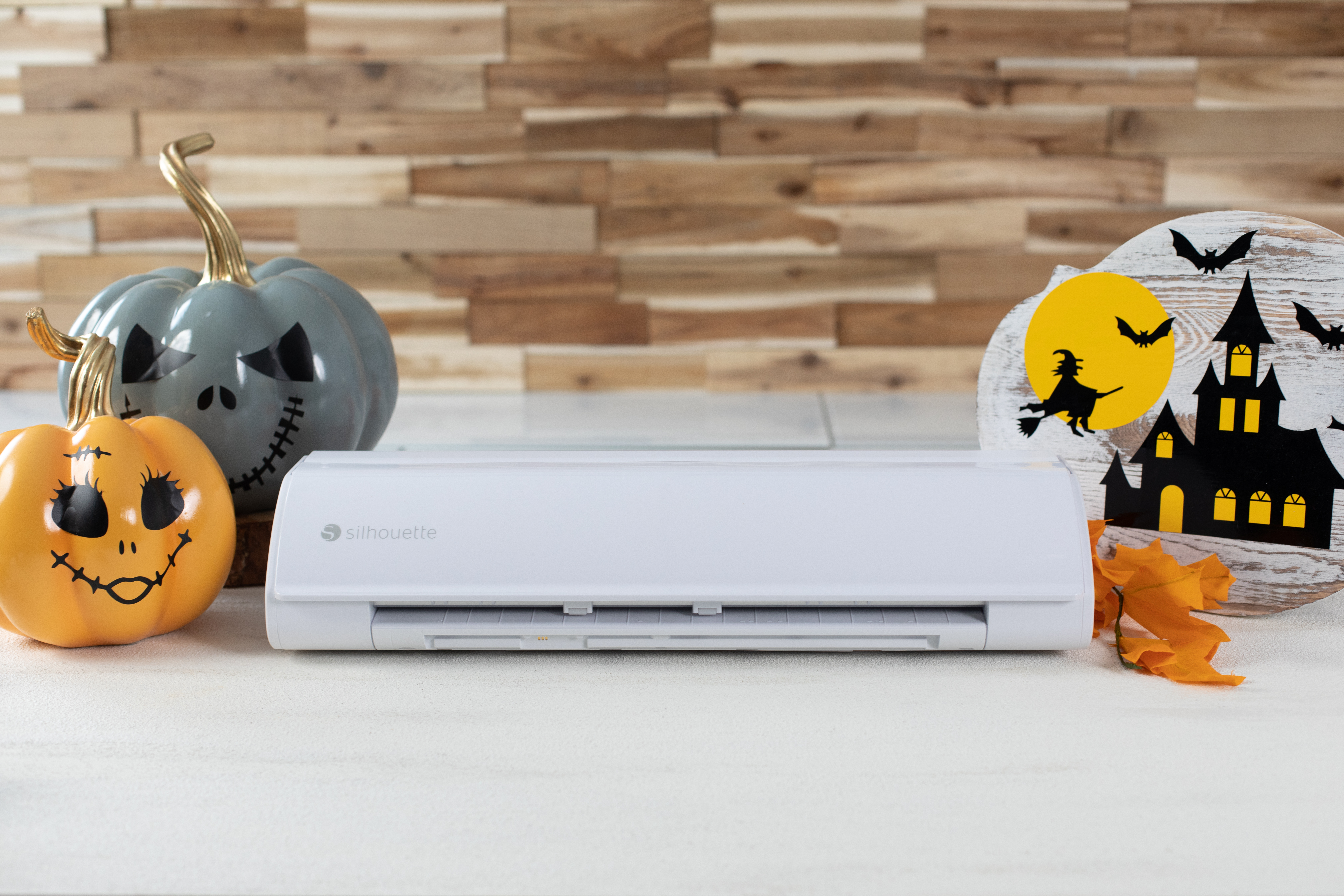 WhiteCameo5-Fall-HalloweenPhotos377A5802